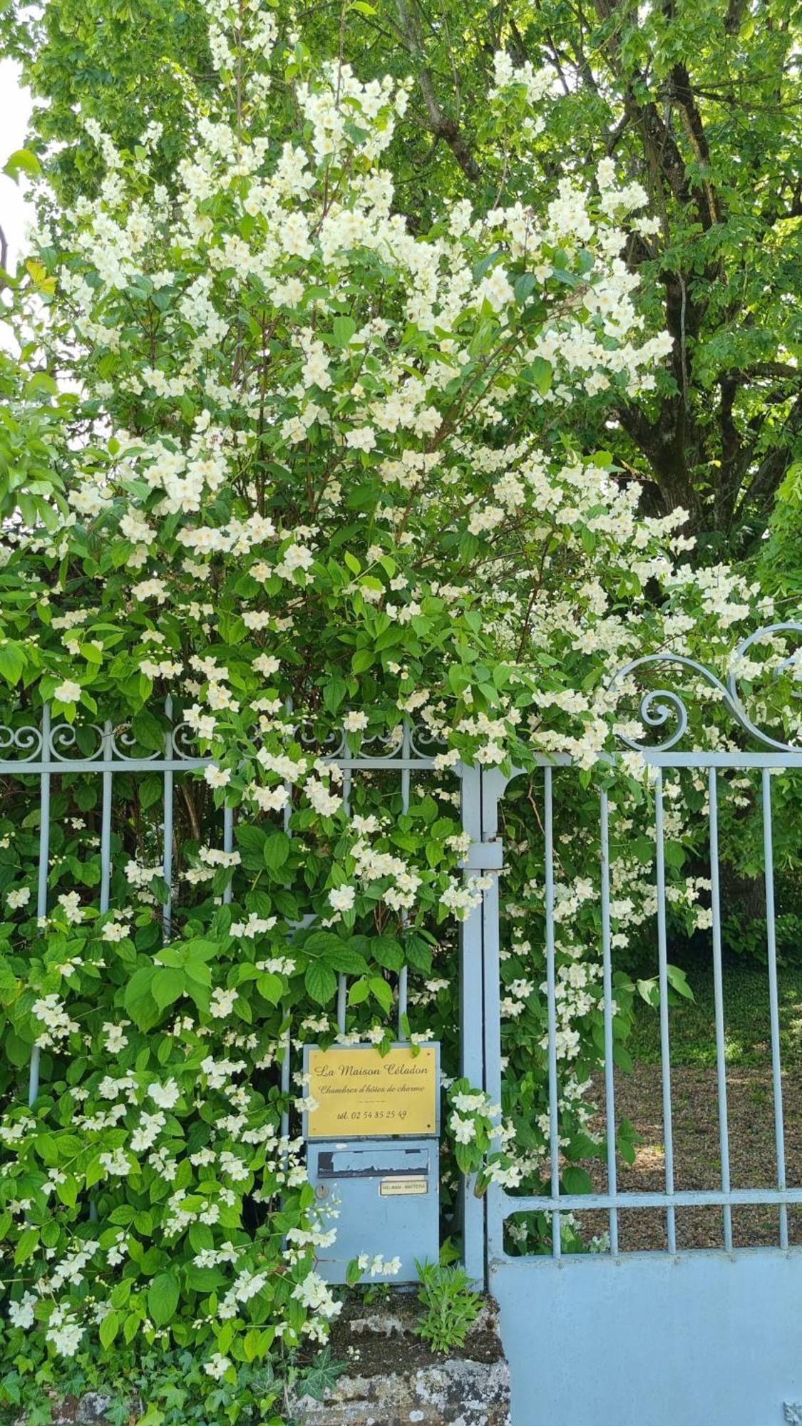 La Maison Celadon Prunay-Cassereau Εξωτερικό φωτογραφία